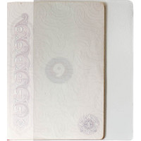 Чехол для листов паспорта, набор 10 шт., прозрачный