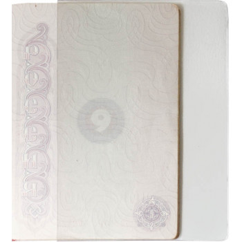 Чехол для листов паспорта, набор 10 шт., прозрачный