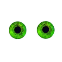 Глаза круглые стеклянные клеевые 14мм, зеленый, 1 пара