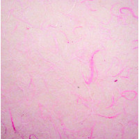 Рисовая бумага для декупажа фоновая Craft Premier Розовый (с волокнами) , A3, 25г/м, 1 лист