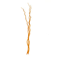 Корелиус тонкий (ствол для топиария), 120 см - оранжевый, 1шт